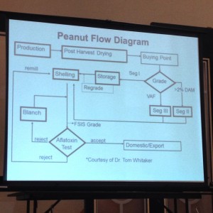 Peanut Flow Diagram provided by Birdsong Peanuts