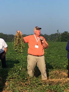 Dr. Bob Kemerait, UGA Extension plant pathologist, showing tour attendees examples of late leaf spot.
